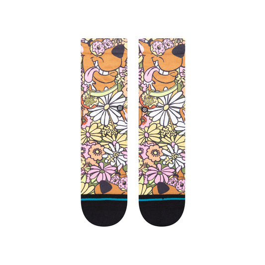 K555C23SNA_MUL_2_ynuzdz_1686193510