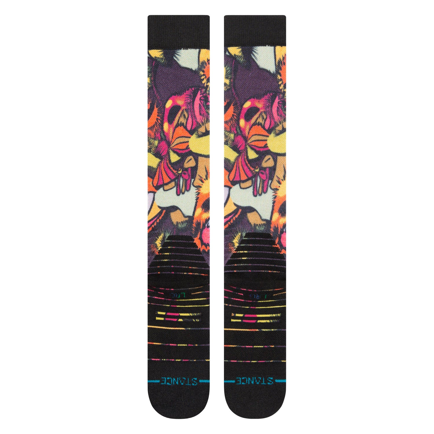 A758C22MUS_MRN_3_1758255514